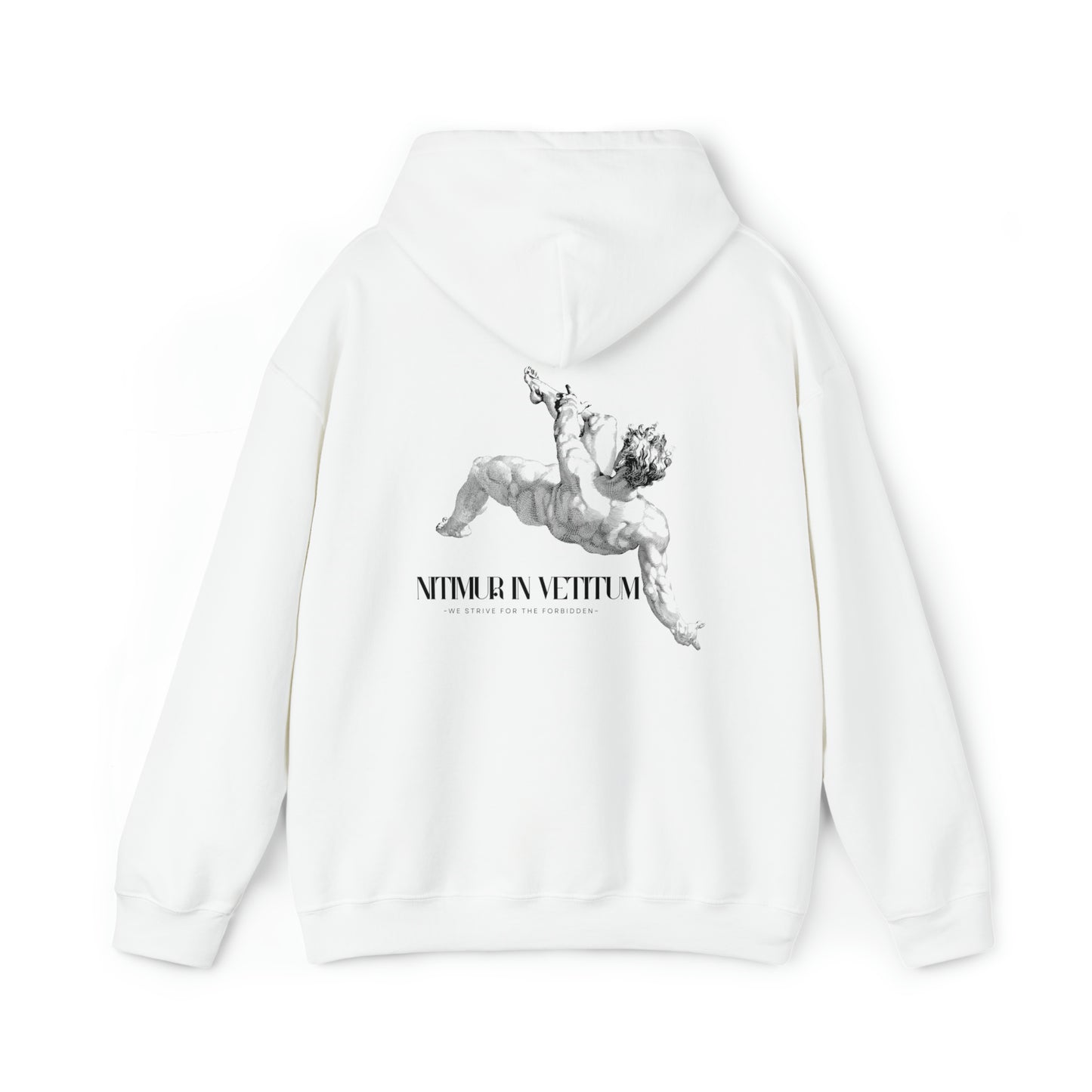 "Nitimur In Vetitum" Hooded Sweatshirt