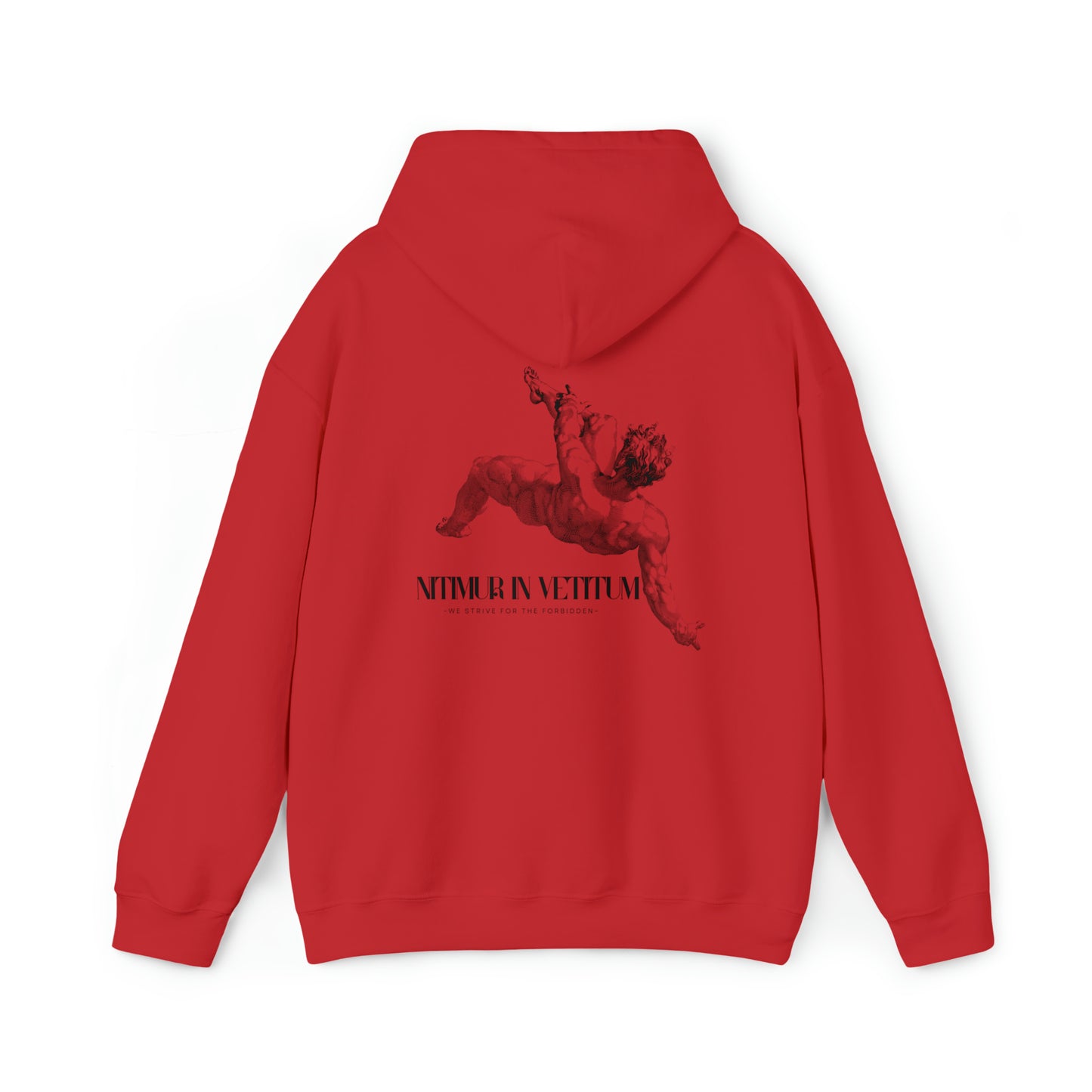 "Nitimur In Vetitum" Hooded Sweatshirt