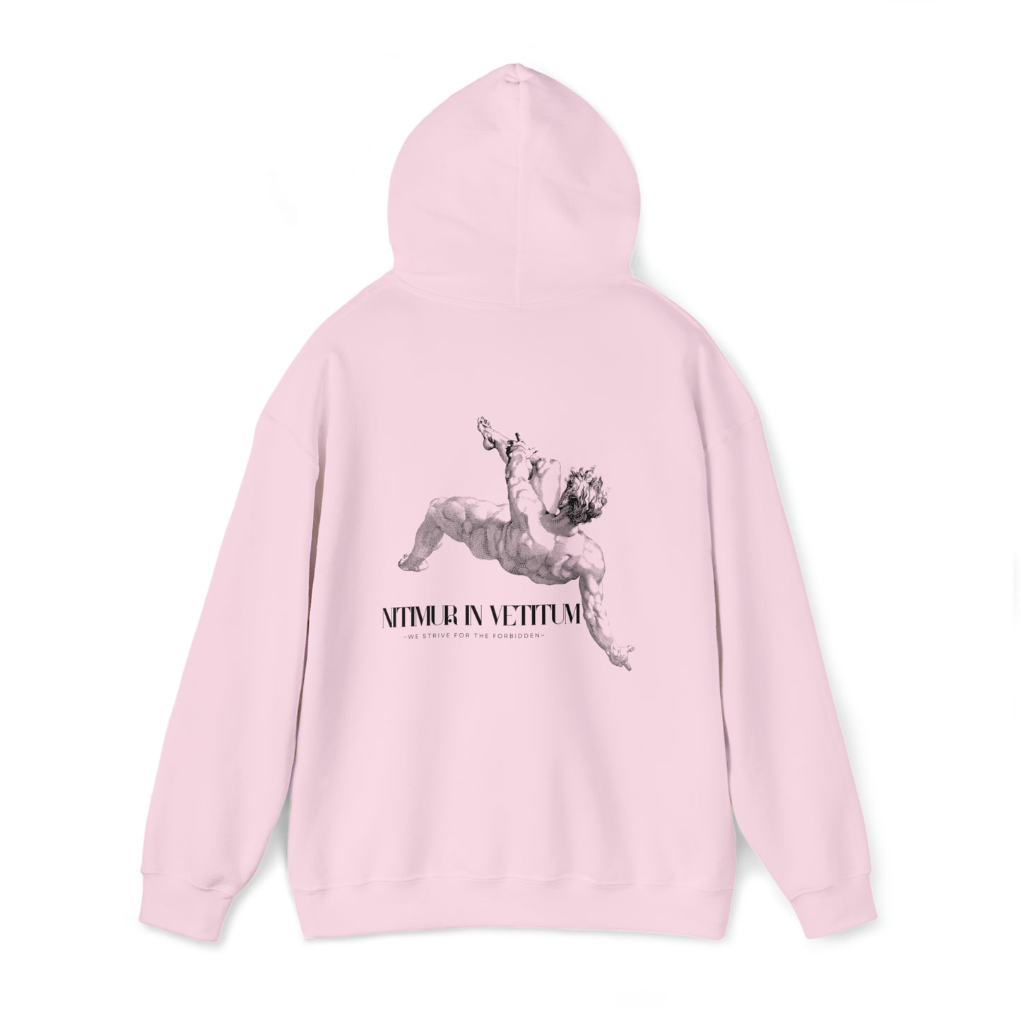 "Nitimur In Vetitum" Hooded Sweatshirt