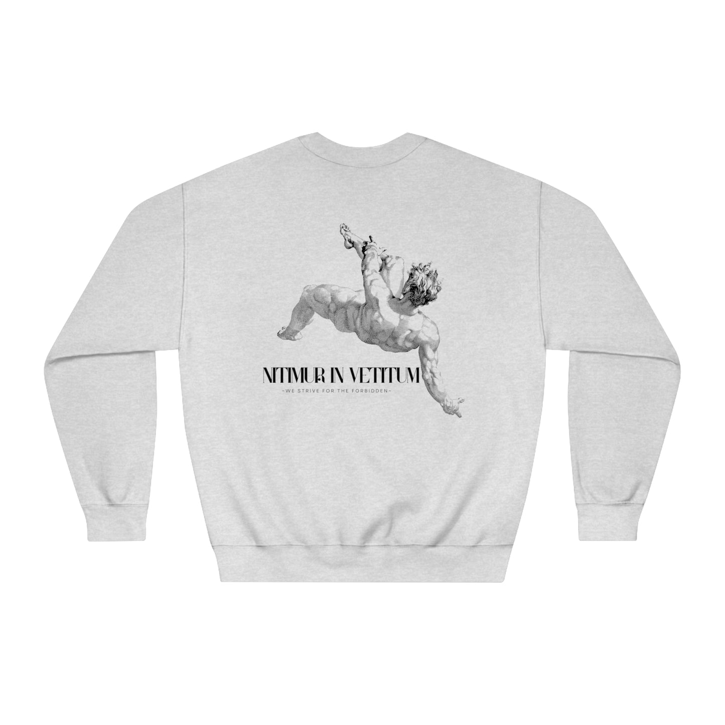 "Nitimur In Vetitum" DryBlend Sweater