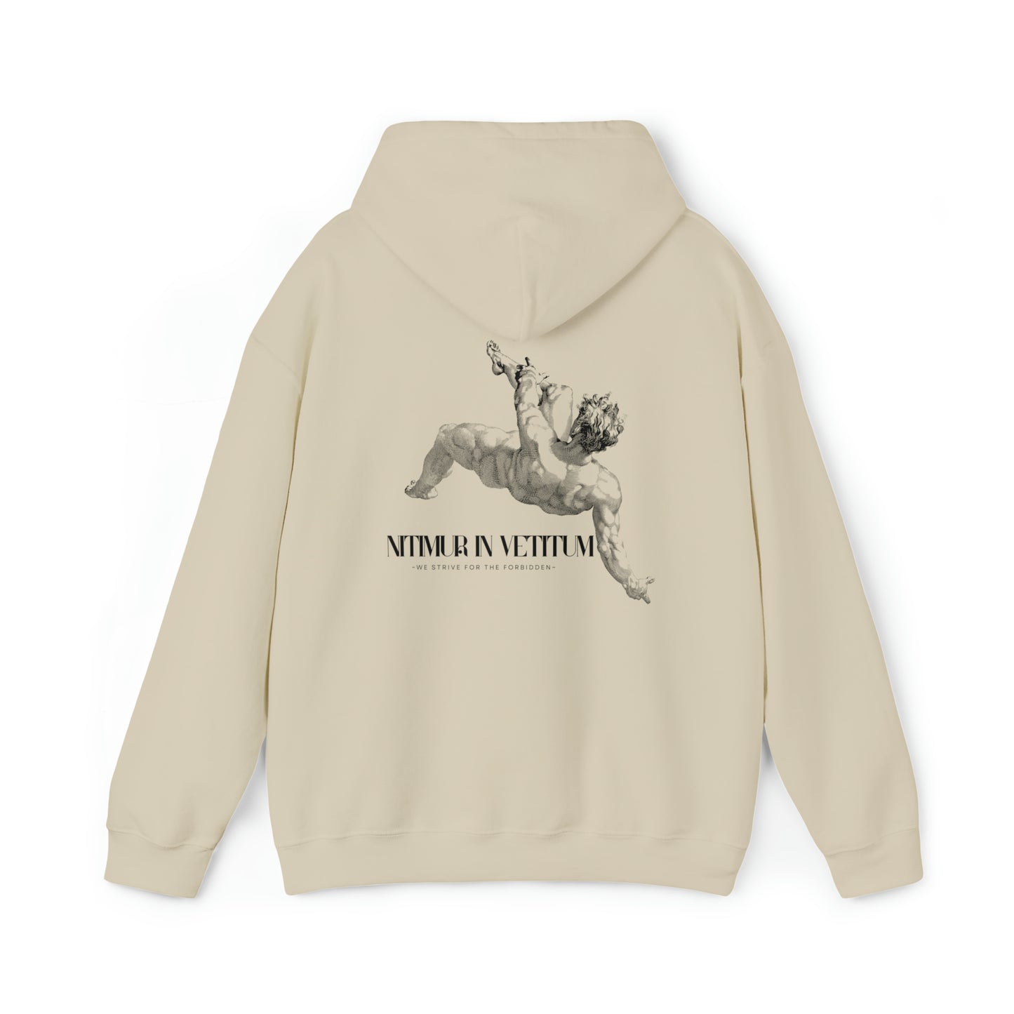 "Nitimur In Vetitum" Hooded Sweatshirt