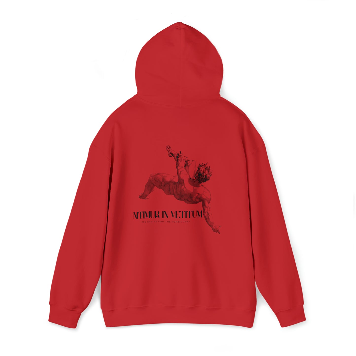 "Nitimur In Vetitum" Hooded Sweatshirt