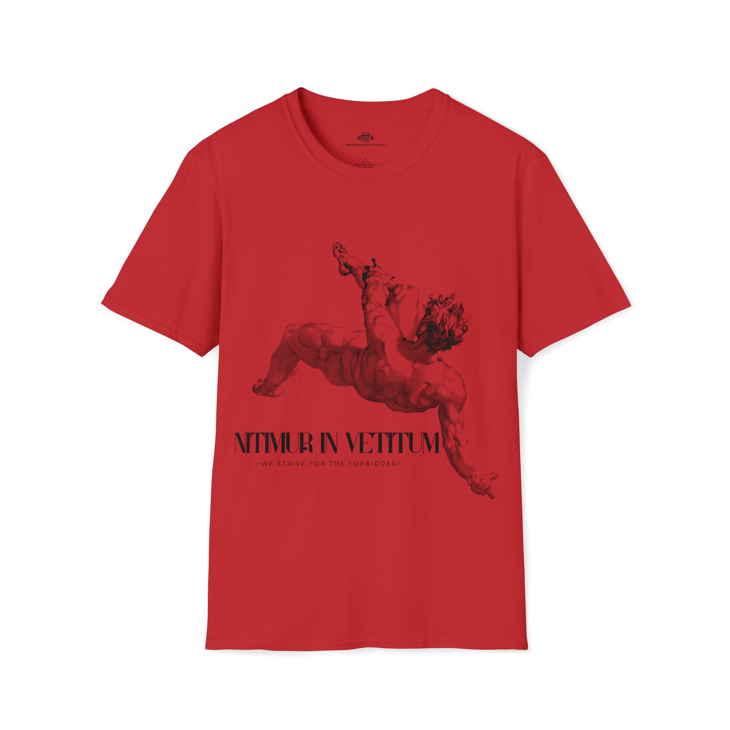 "Nitimur In Vetitum" Men's Tee