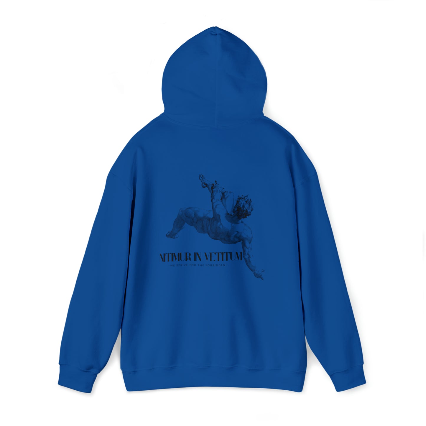 "Nitimur In Vetitum" Hooded Sweatshirt