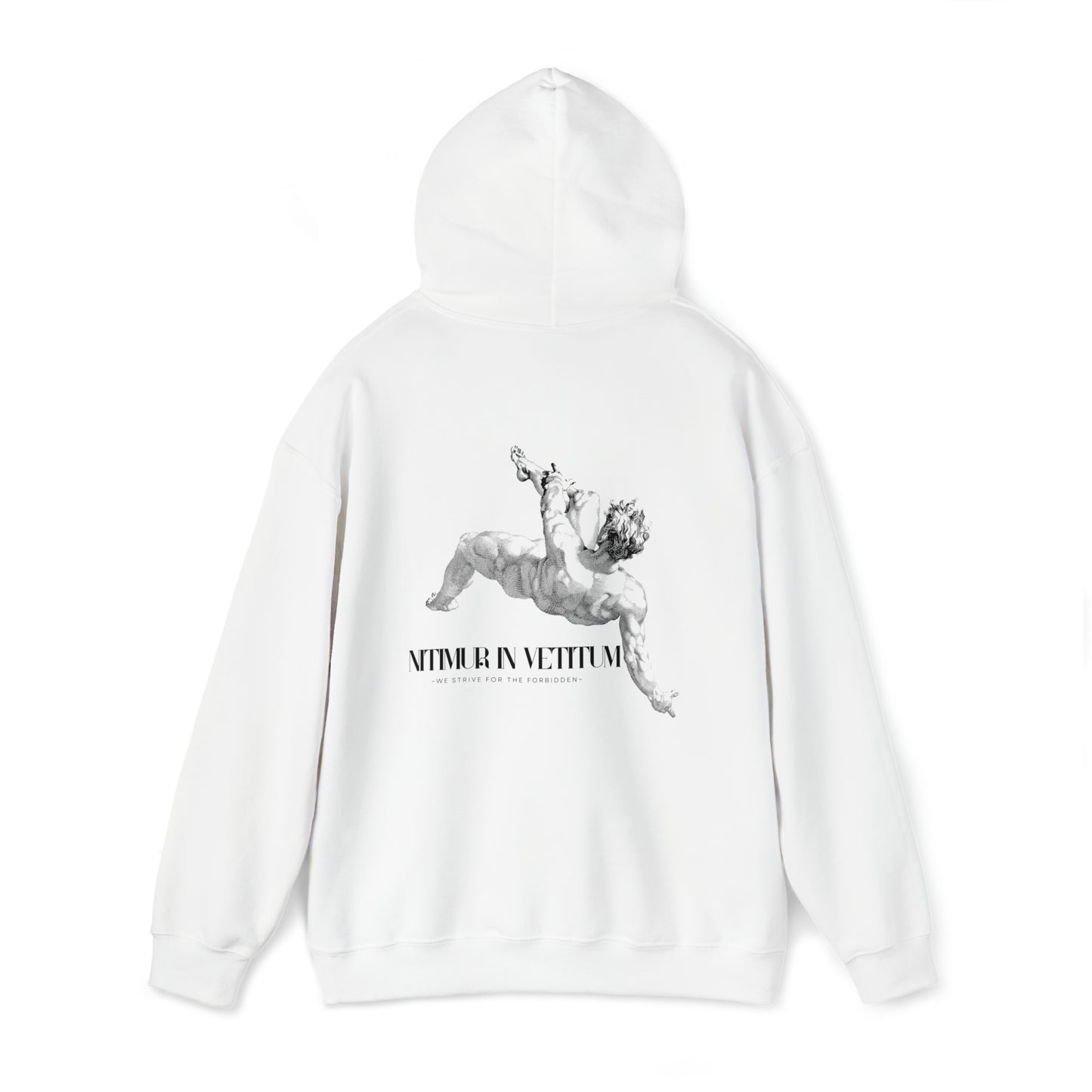 "Nitimur In Vetitum" Hooded Sweatshirt