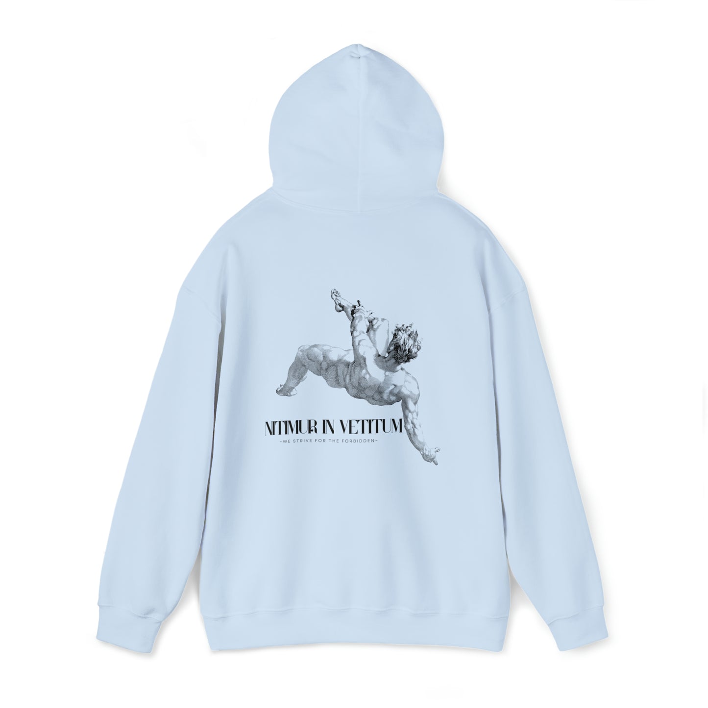 "Nitimur In Vetitum" Hooded Sweatshirt