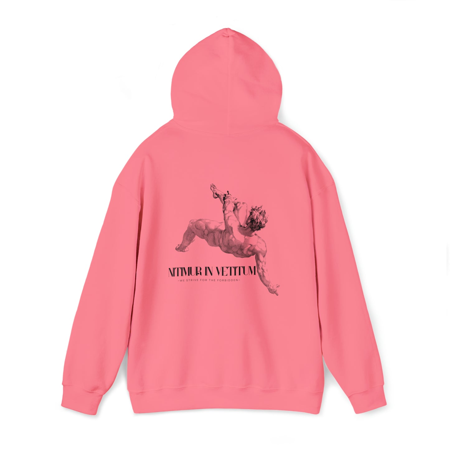 "Nitimur In Vetitum" Hooded Sweatshirt