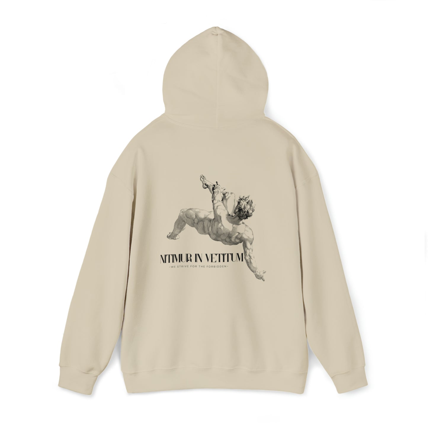 "Nitimur In Vetitum" Hooded Sweatshirt